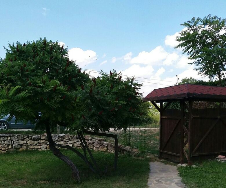 Hotel Ajax Guest House