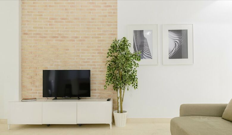 Apartamentos Charming Lope de Vega
