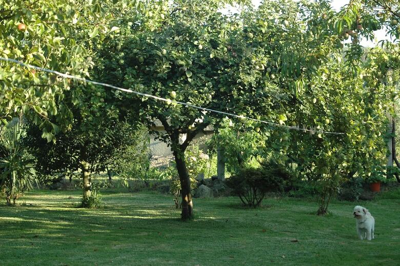 Agroturismo Os Migueli�os