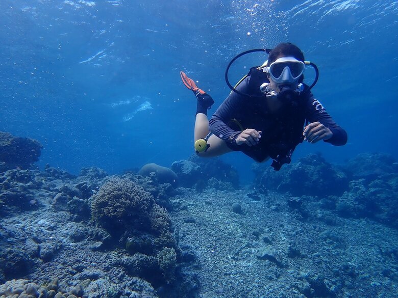 Bed & Breakfast Hoga Island Dive Resort Wakatobi