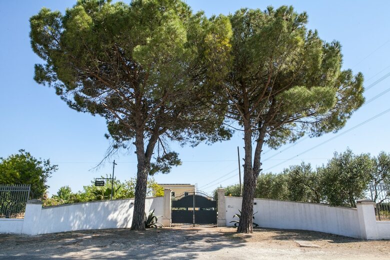 Bed & Breakfast Casolare I Tre Ulivi