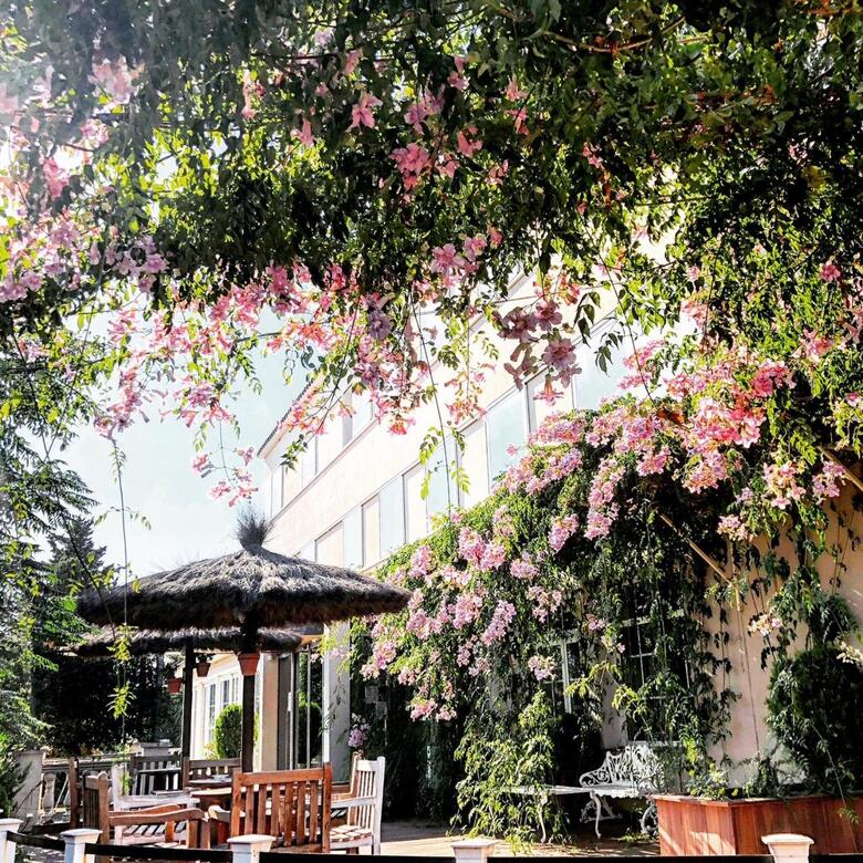 Hotel Figueres Parc