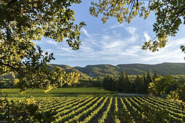 Villas Du Luberon - Mas Enjoy