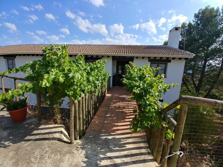 Apartamentos Complejo Paquita