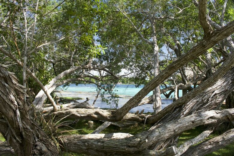 Hotel La Albarina - Adults Only
