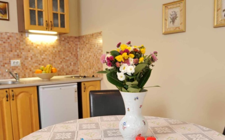 Apartamentos Vila Izvor