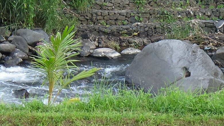 Bed & Breakfast Lotus Guesthouse Sudaji