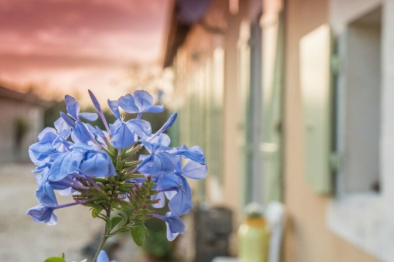 Bed & Breakfast Bel Air - La Petite Maison