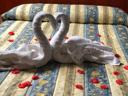 Hotel Pe�a Santa