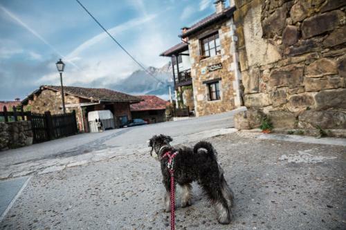 Apartamentos Rurales El Colla�n De Campiellos