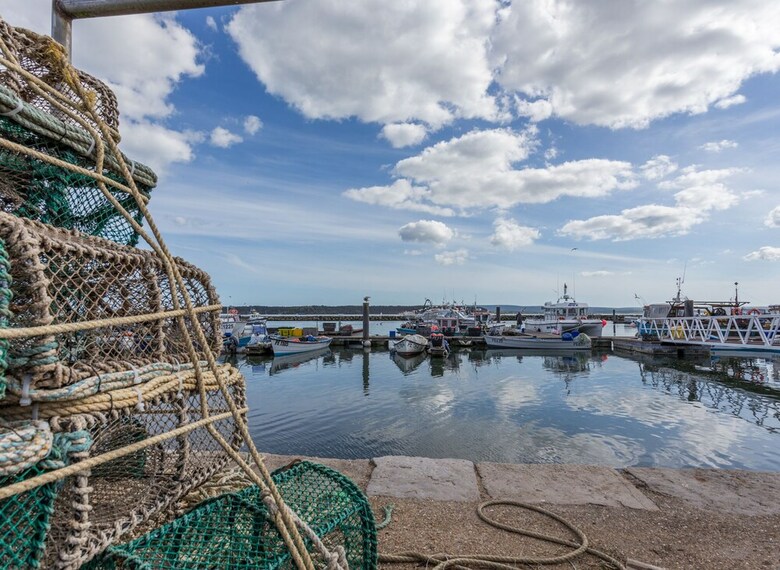 Mojo, Poole