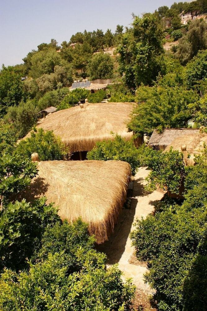 Lazy Lizard Boutique-hotel