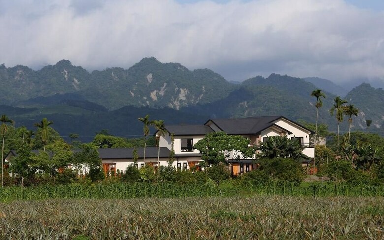 Bed & Breakfast Golden Paddy