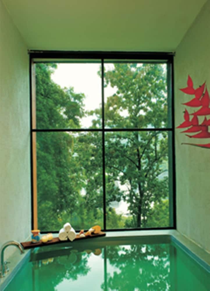 Hotel Rainforest Boutique Resort