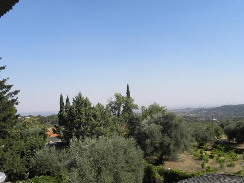 Hostal San Jos�
