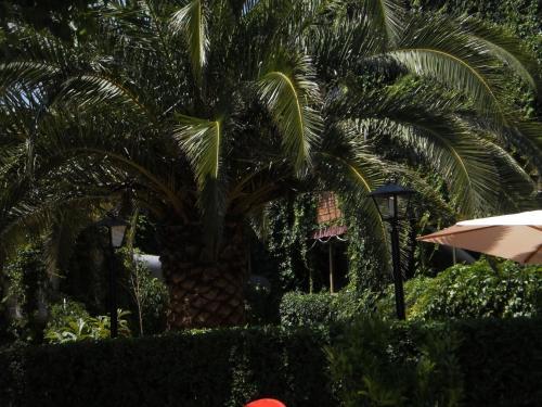 Hostal San Jos�