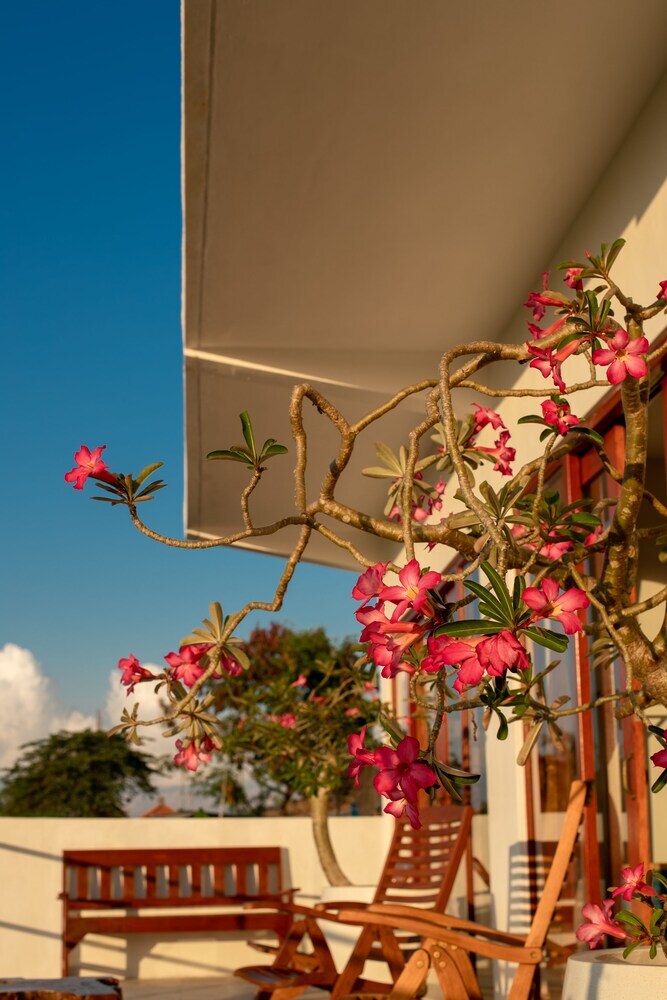 Bed & Breakfast Villa Lotus 8