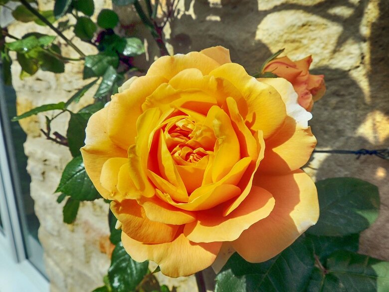 Cotswold Cottage Gems - Rathbone Cottage