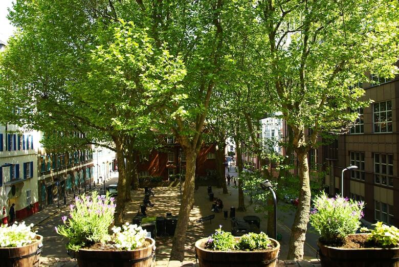 Apartamentos Brookes Court