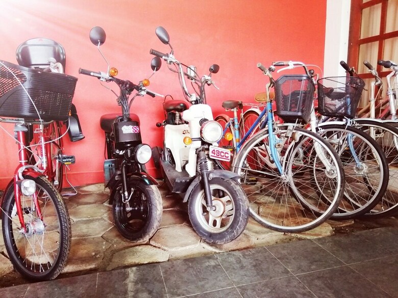 Hotel Freedom Palace