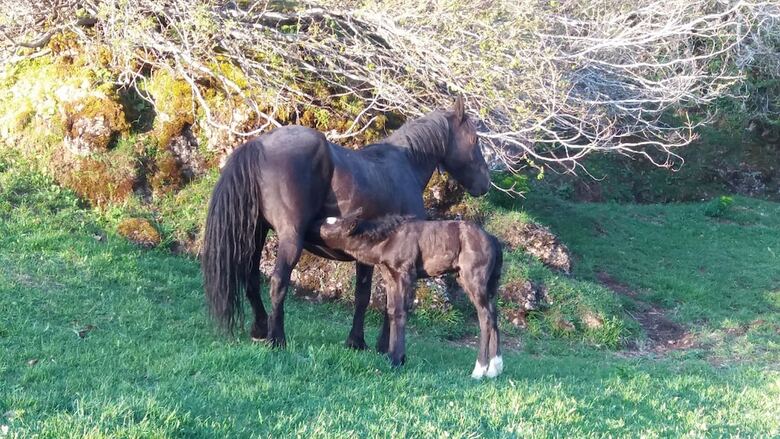 Hotel La Corona Del Auteiro