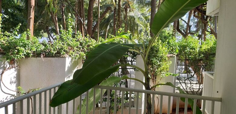 Apartamento Azure Boutique Resort