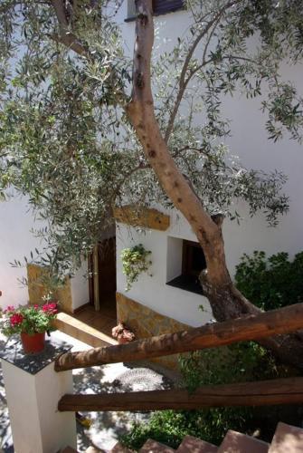 Hostal Pensi�n La Fuente