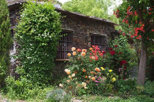 Apartamento Cortijo Prado Toro