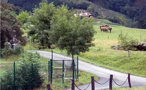 Hostal Tolare-berri