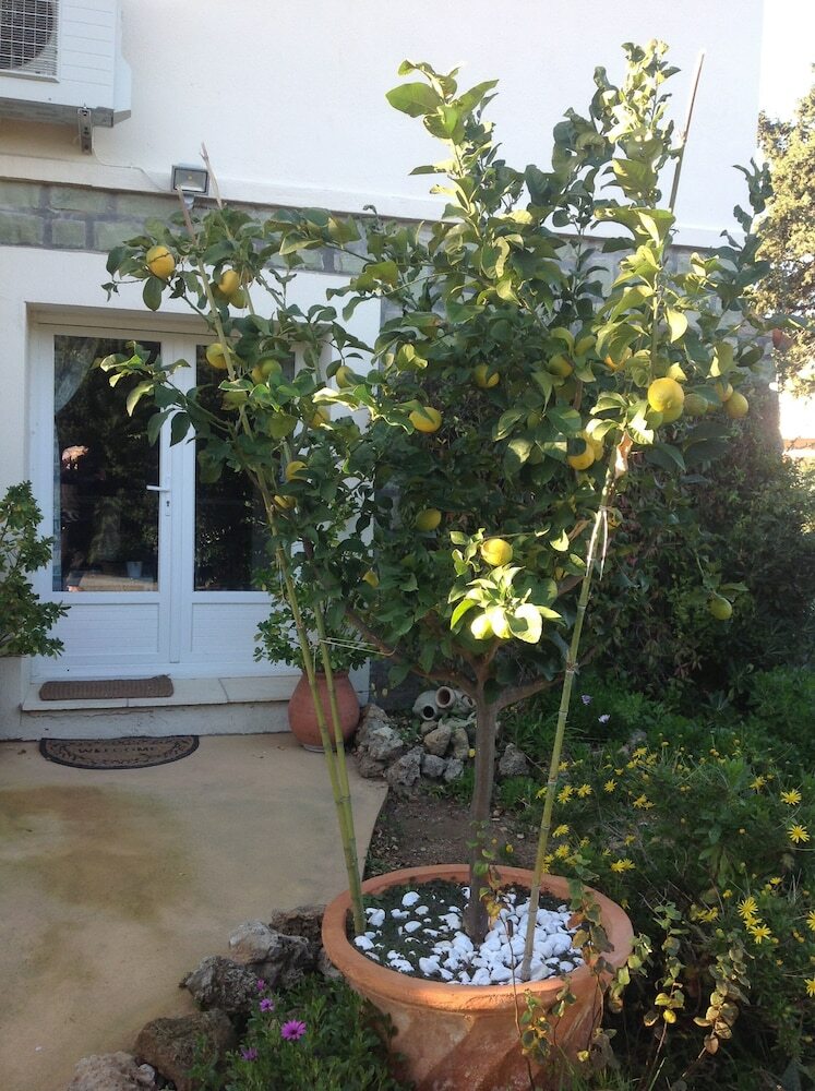 Apartamento Rez de Villa Du Pebrier