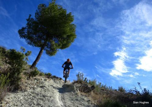 Camping Sierra Espu�a