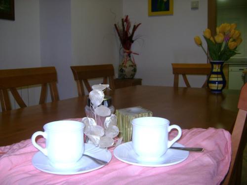 Apartamentos Pirineos Ordesa