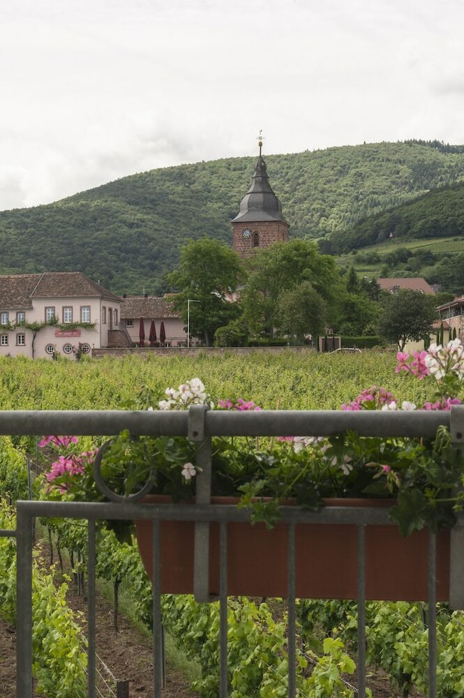 Hotel Weingut-g�stehaus Eberle