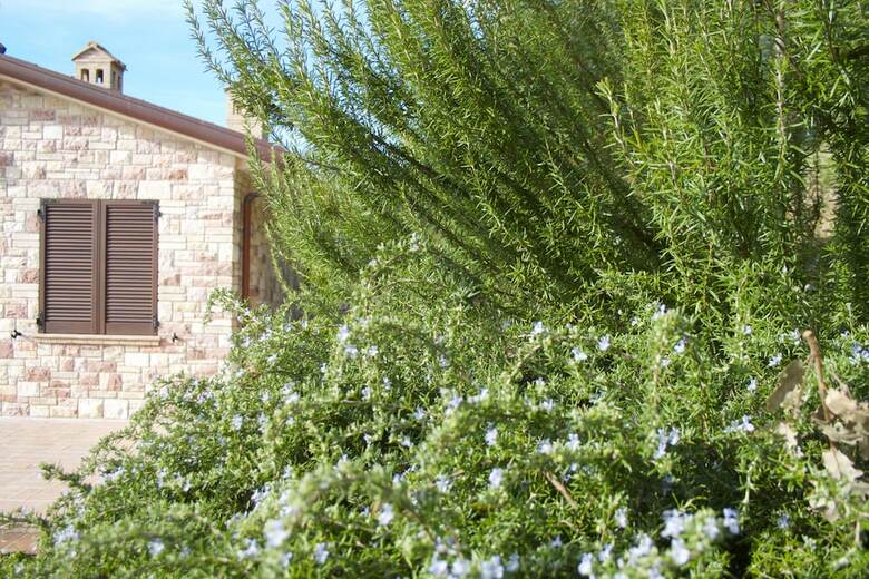 B&B Lavanda E Rosmarino