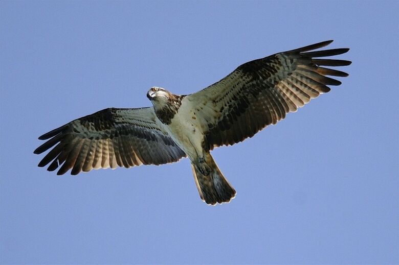 B&B  La Casa Bianca Di Porto Conte