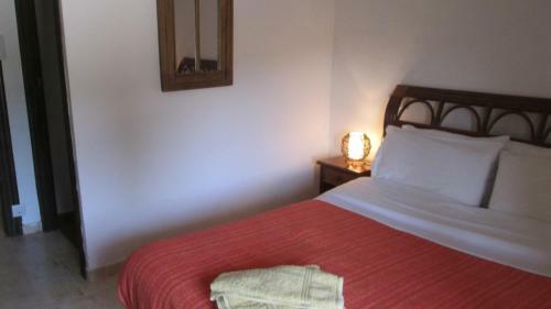 Hostal The Olive Tree