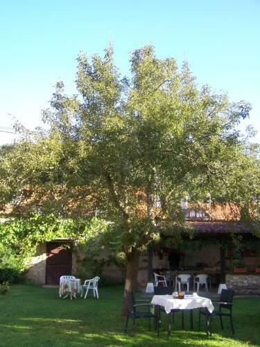 Hostal Posada De Mu�o