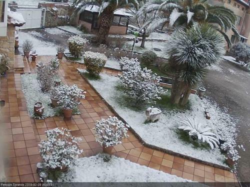 Hostal Pensi�n Toranda