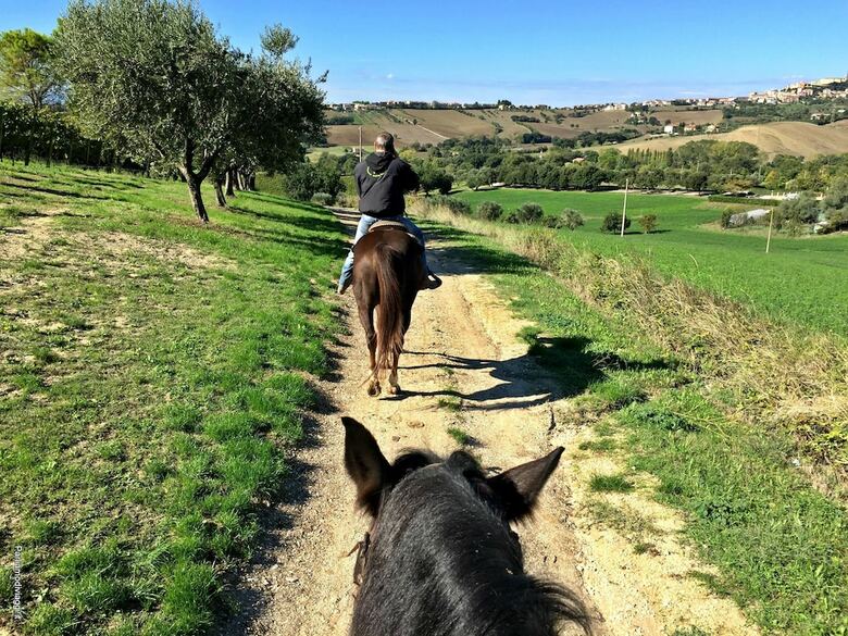 Agroturismo Agriturismo Le Capannacce