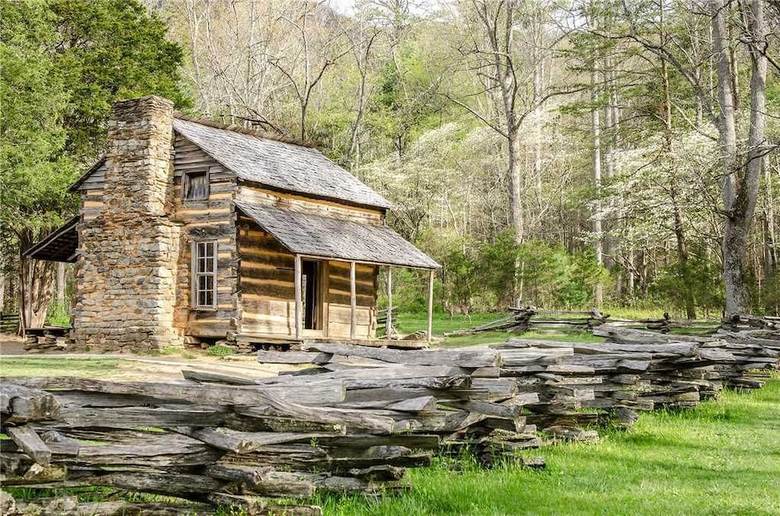 Zen Bear Retreat - One Bedroom Cabin