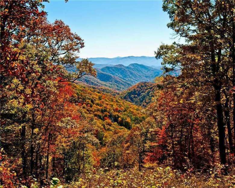 Annies Smoky View - Two Bedroom Cabin