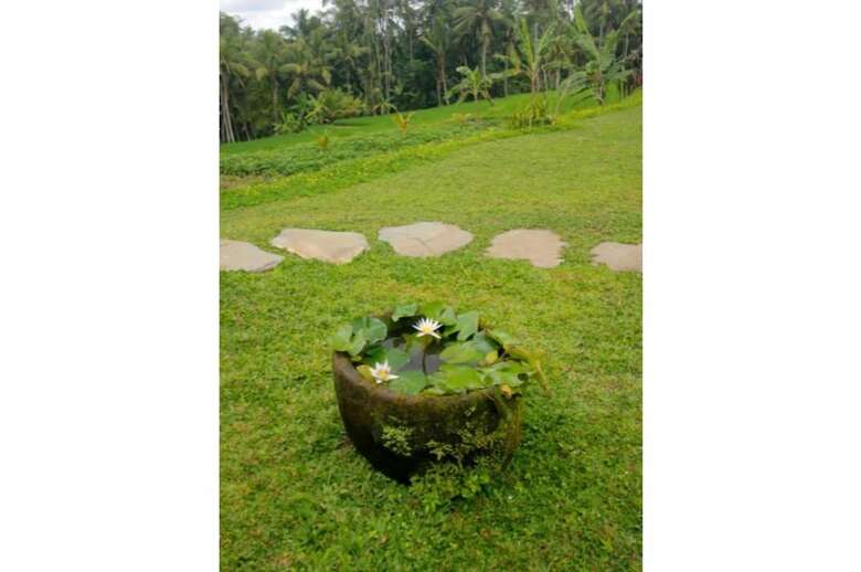 Bed & Breakfast D Lobong Suite