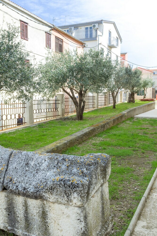 Apartments In City Center Ventus