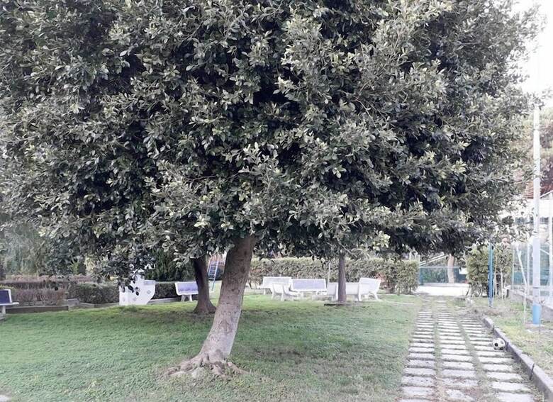 Apartamento Baia Blu Falcone
