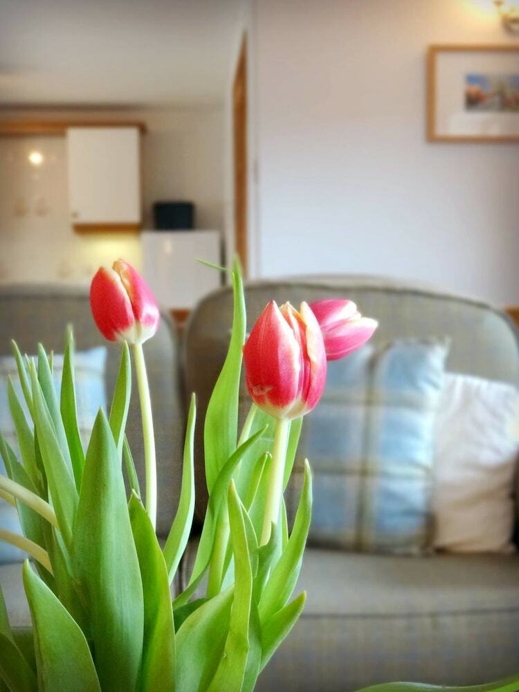 Carden Holiday Cottages