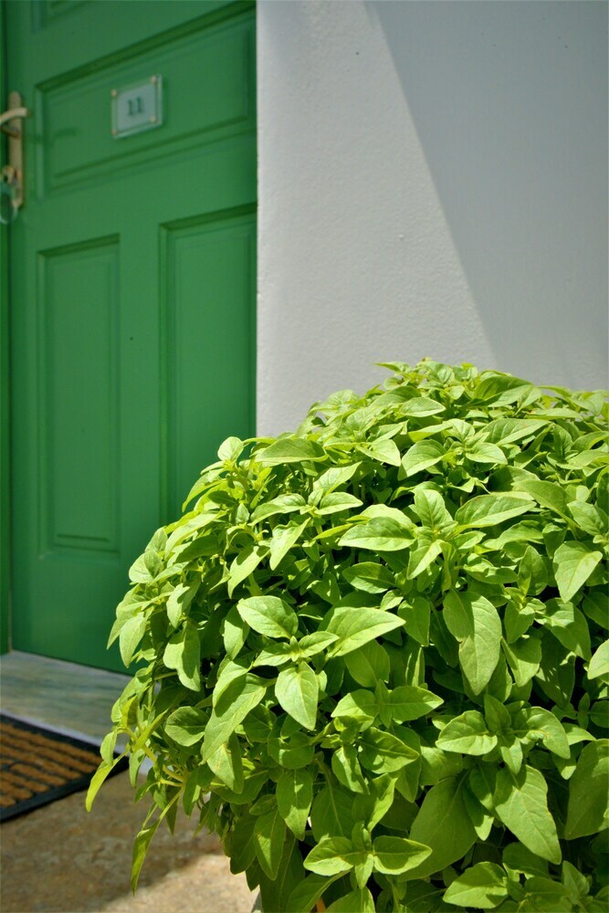 Hotel Moraitis Studios Dioni Lux Inn