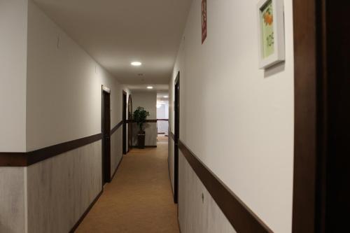 Hostal Los Naranjos