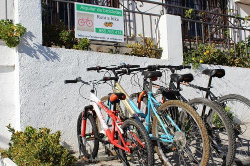 Hostal Los Naranjos