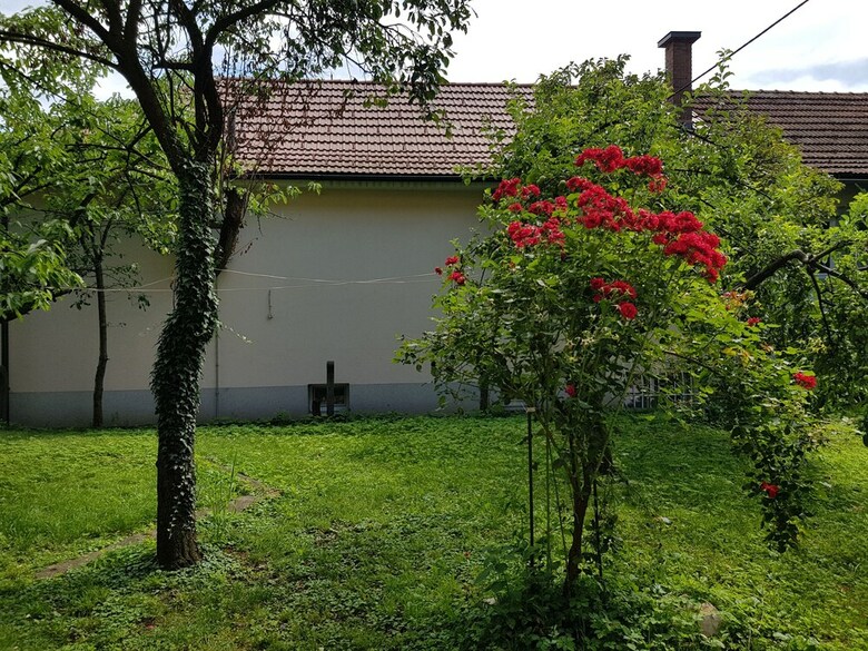 Apartamentos Villa Coola