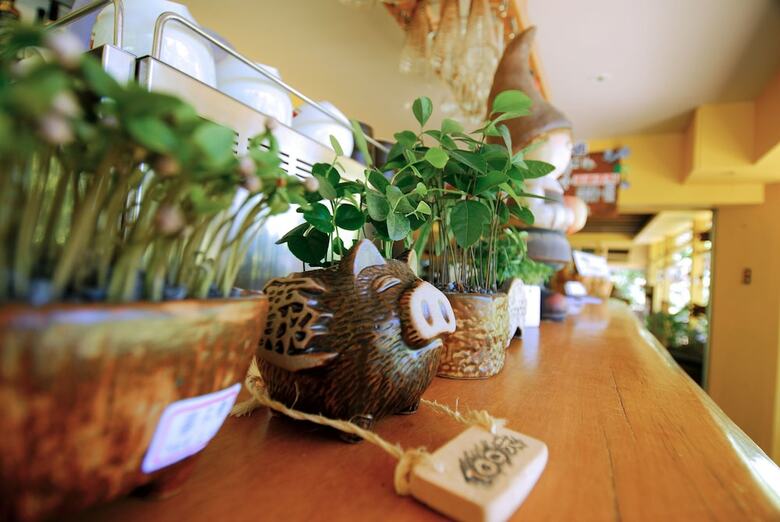 Bed & Breakfast Country Grange